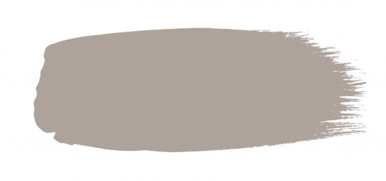 Little Greene Absolute Matt Emulsion Paint Perennial Grey 245 H Sample Pot 60ml